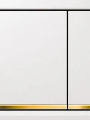 Ihned K Objednání Geberit Deska ovládací GEBERIT OMEGA 30 bílá/pozlaceno, 115.080.KK.1