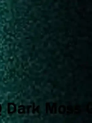 Akce Autolak do pistole Volkswagen 500ml<span class="small color-gray text-muted"> - Volkswagen odstín: LC6Q Dark Moss</span>