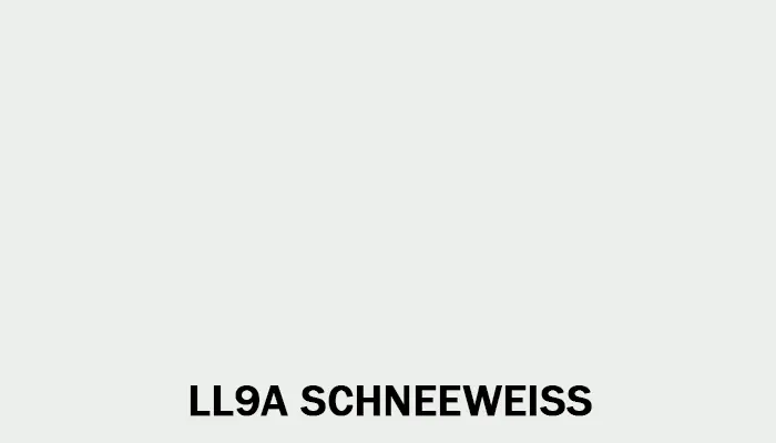 Značkový Autolak do pistole Volkswagen 500ml<span class="small color-gray text-muted"> - Volkswagen odstín: LL9A SCHNEEWEISS</span>