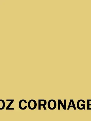 Značkový Autolak do pistole Volkswagen 500ml<span class="small color-gray text-muted"> - Volkswagen odstín: L10Z CORONAGELB</span>